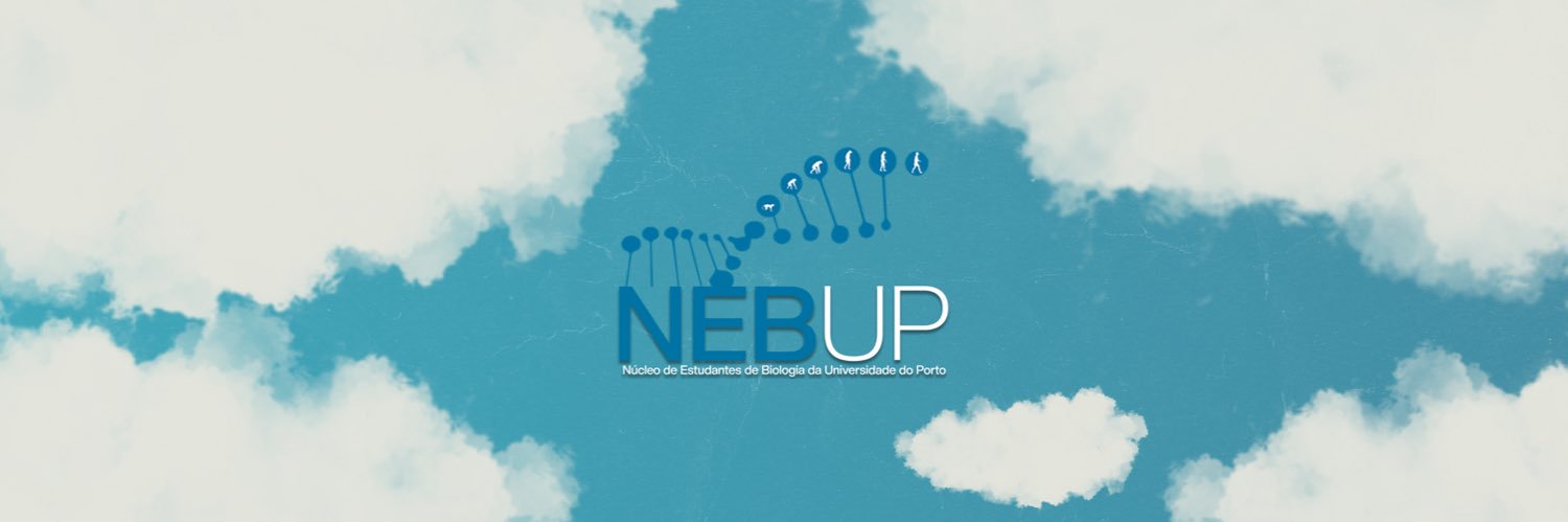 NEBUP's profile banner image