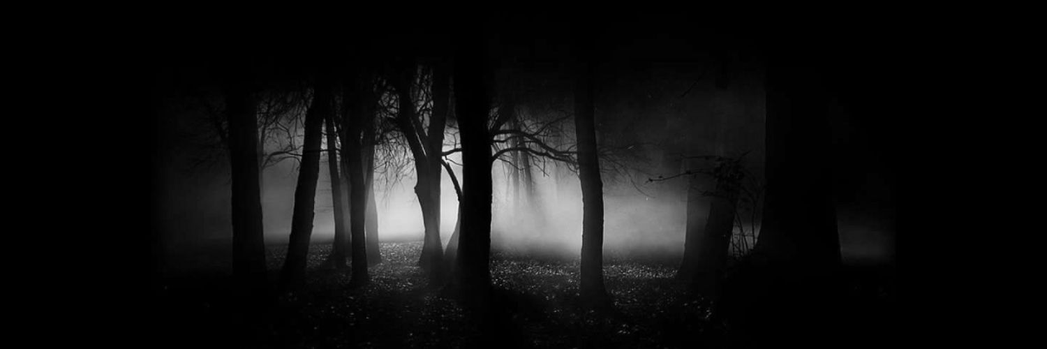 Zeid_ALSukkar's profile banner image