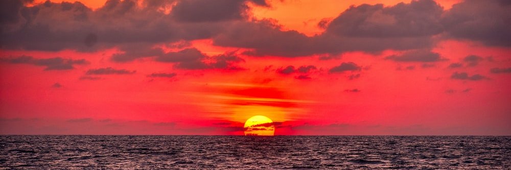cjschexnayder's profile banner image