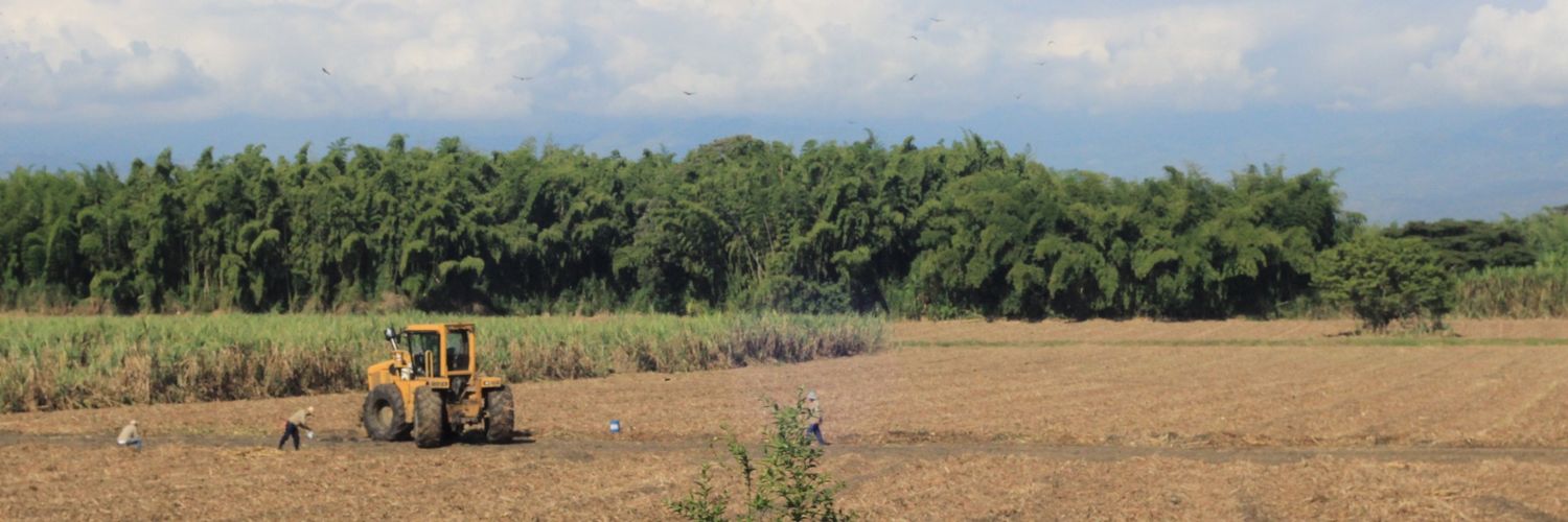 ElMataGuzman's profile banner image