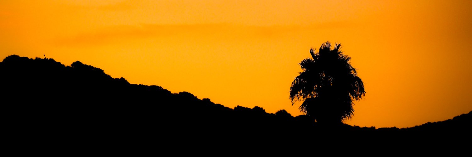 LostinCrypto's profile banner image