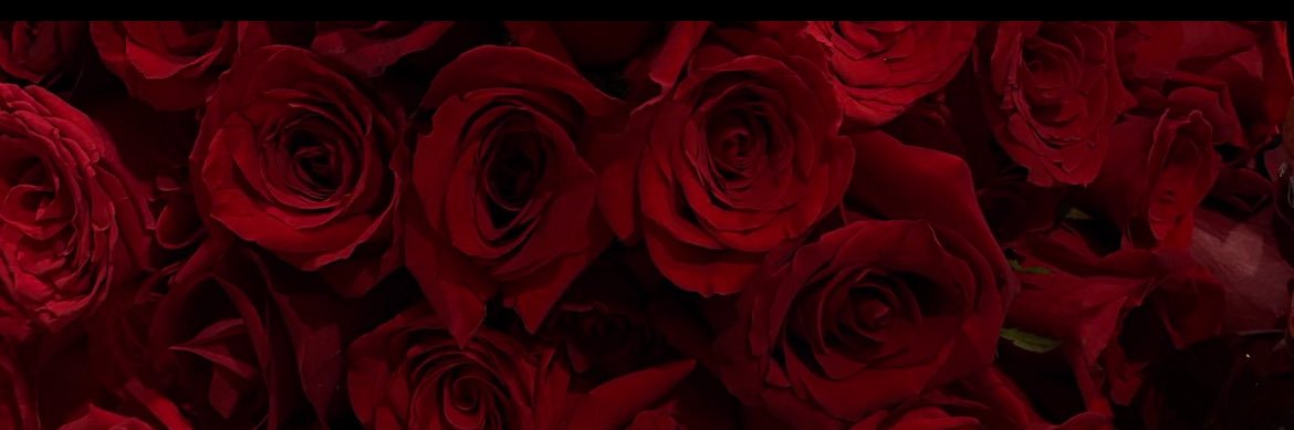 tytrenee's profile banner image