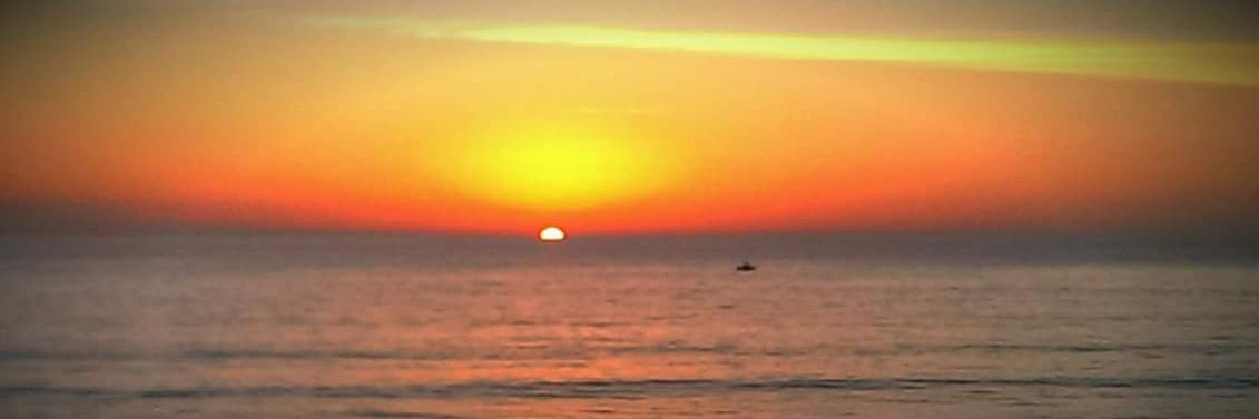 BeachedEscalera's profile banner image