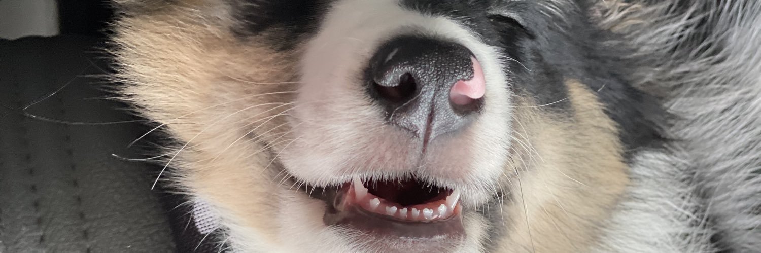 stephhhv_'s profile banner image