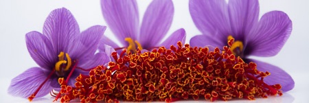 SafrandeCotchia's profile banner image