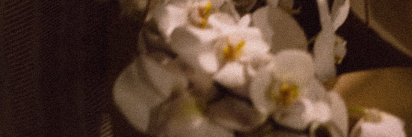 dhxslk's profile banner image