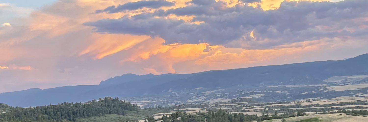TalondialloLong's profile banner image