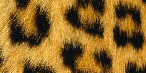 nothing_moreee's profile banner image