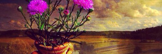 billyjim13's profile banner image
