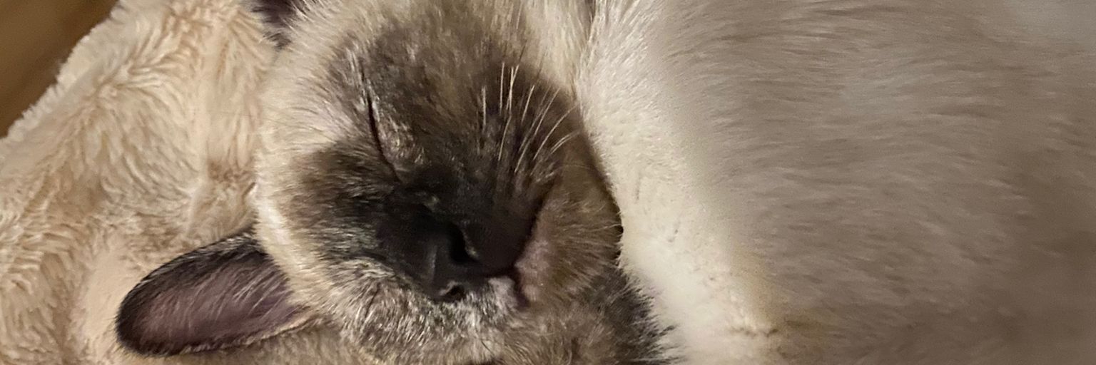 agusgc94's profile banner image