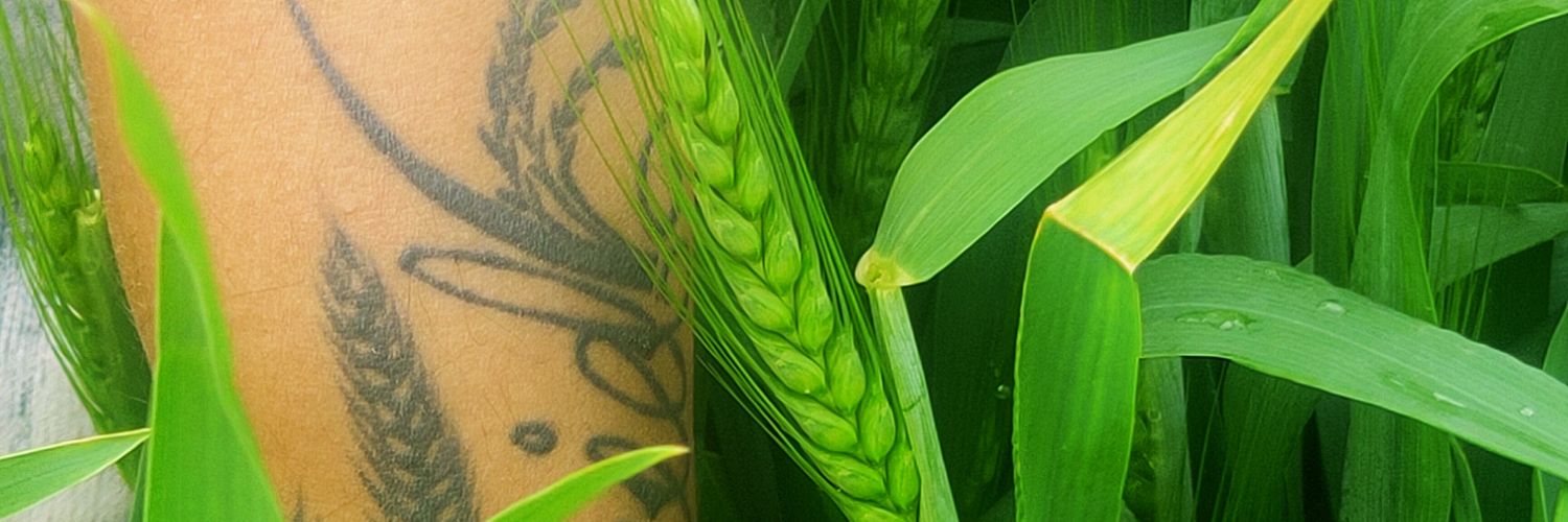 avaybau's profile banner image
