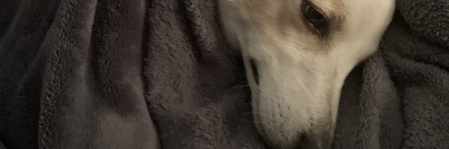 Vulplexity_'s profile banner image