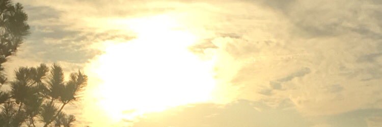 Cole banner