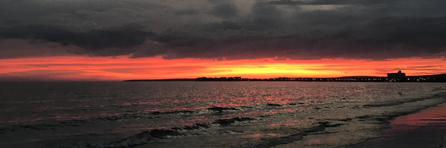 roldannsofi's profile banner image