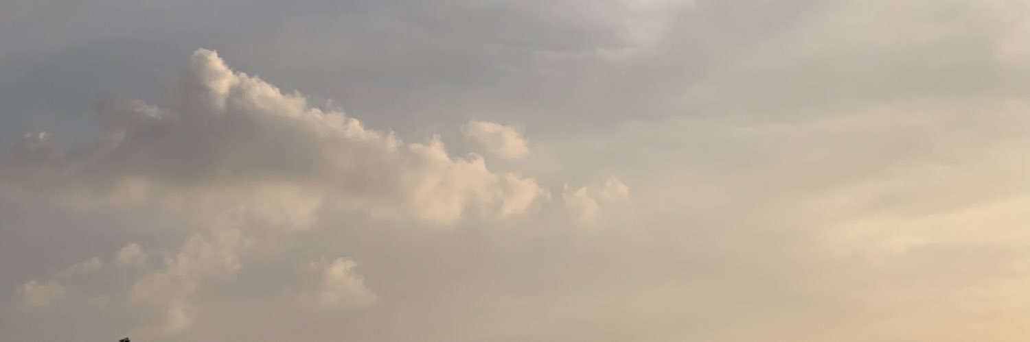 Jim Kawahara banner