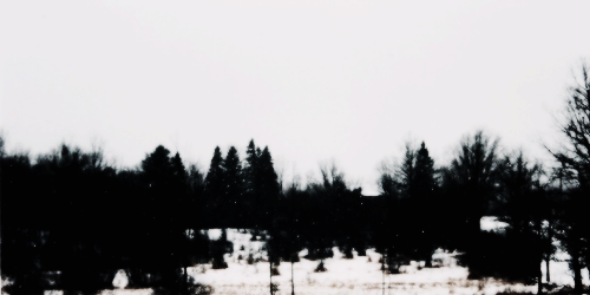 ddlovatoallgdr's profile banner image