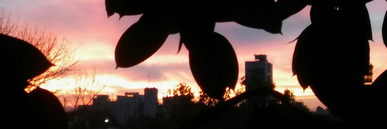 Maribelosoo's profile banner image