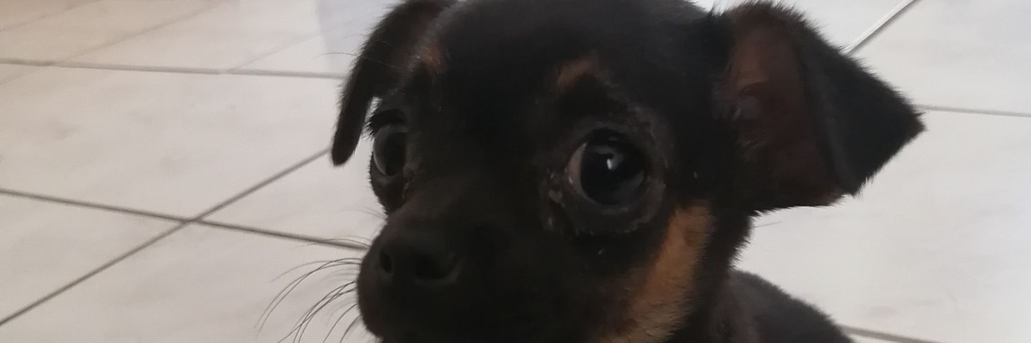 mitxh_moon's profile banner image