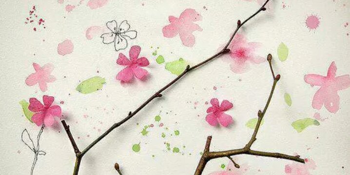 lolo858's profile banner image