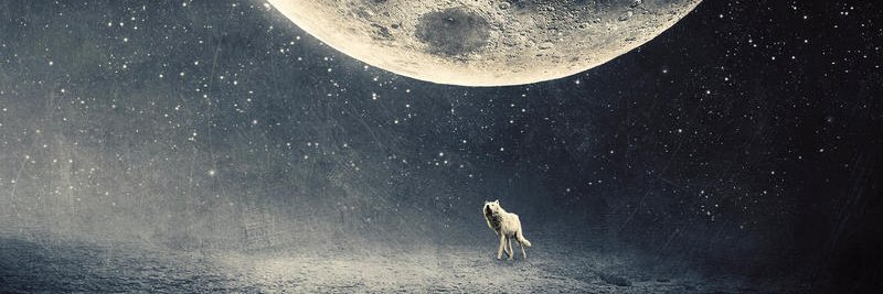 vegoz99's profile banner image