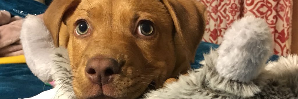 _bailey1126's profile banner image