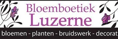 luzerne1980's profile banner image