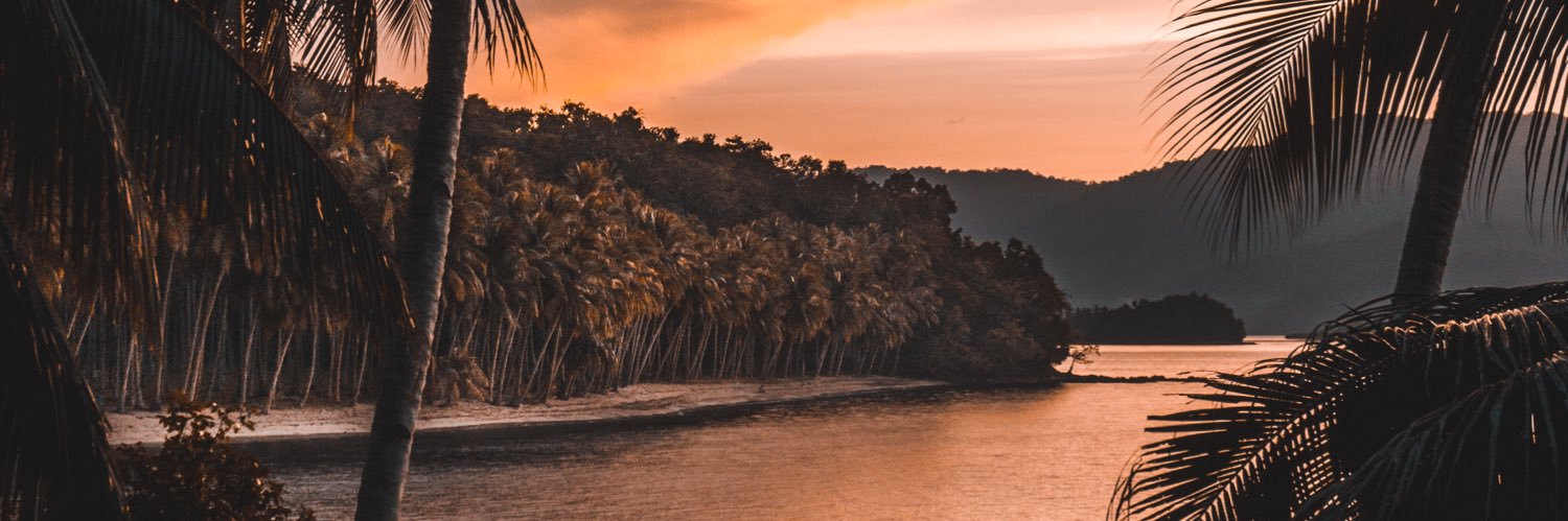 Twitter banner for @kingbogie
