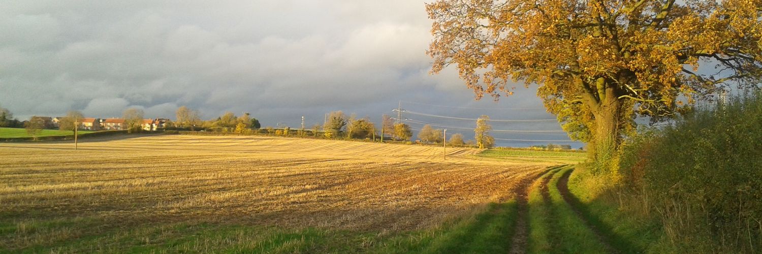 GreenGingerFae's profile banner image
