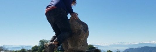 veveruz's profile banner image