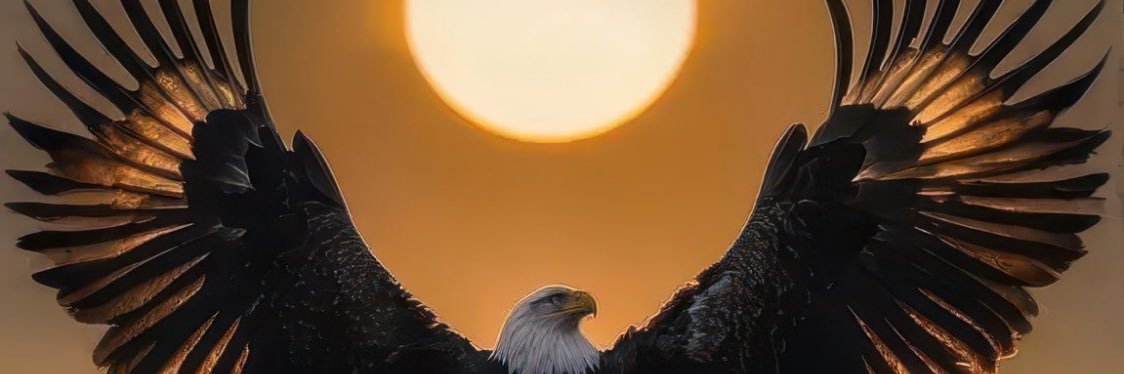 jay4__'s profile banner image