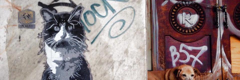 florecitadelmal's profile banner image