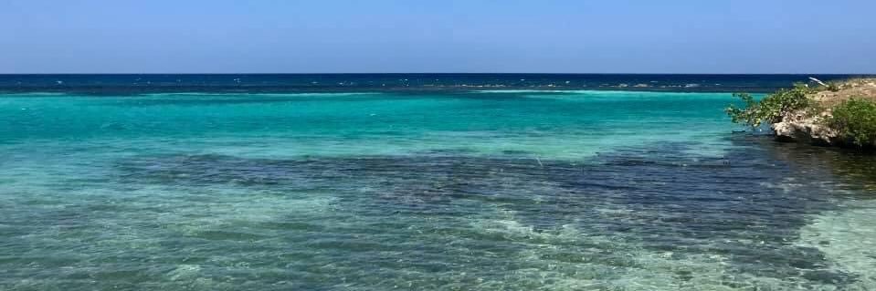 Jessica Brown banner