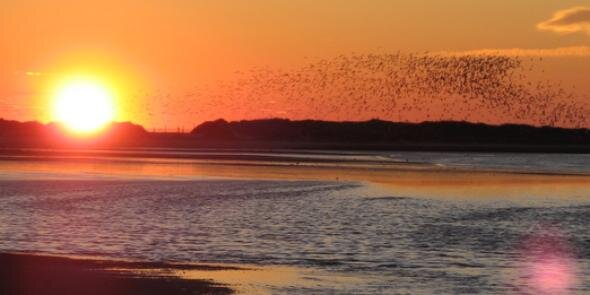 CapeCodFession's profile banner image