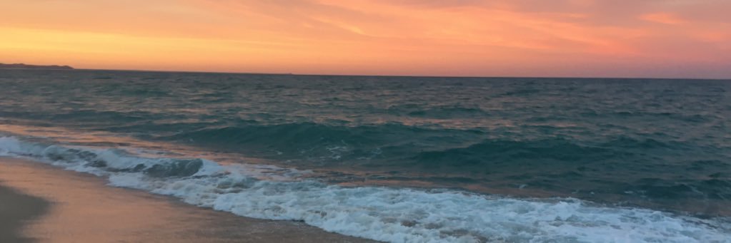 meredithjane95's profile banner image