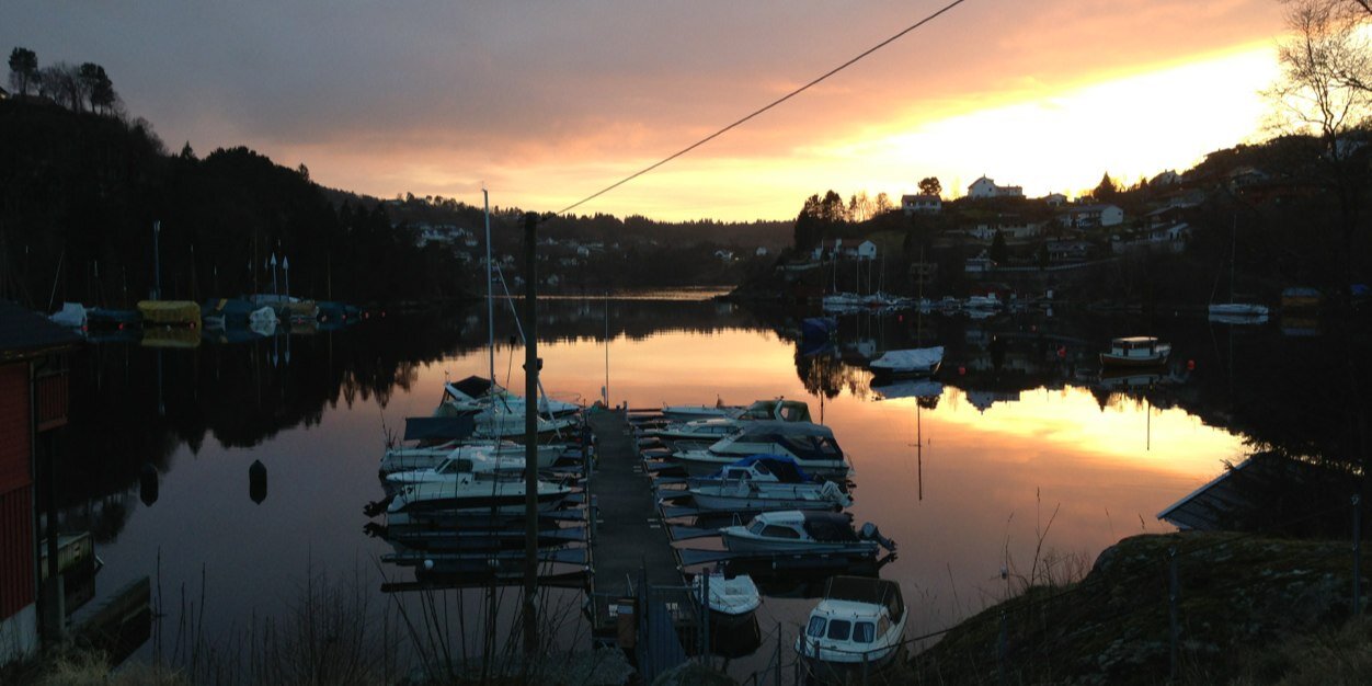 Annette Fromm banner