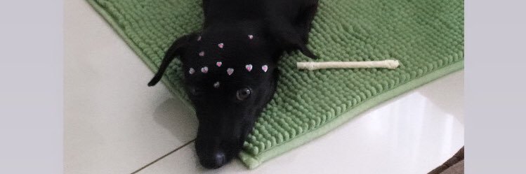 moonicabarros's profile banner image
