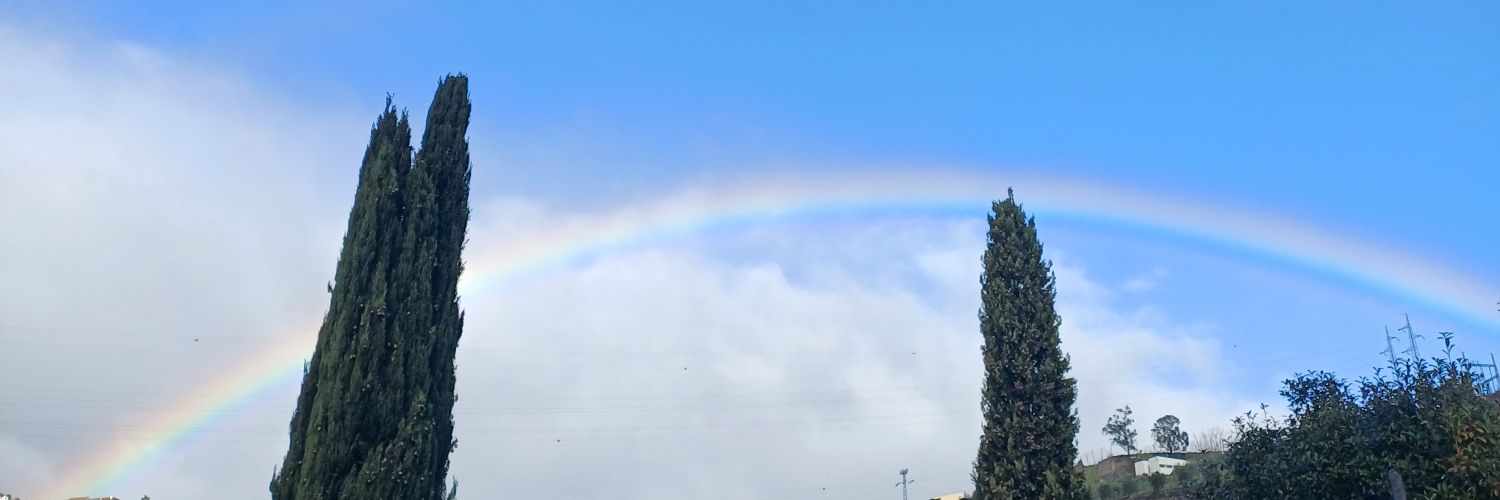 Nileyloverdfvf's profile banner image