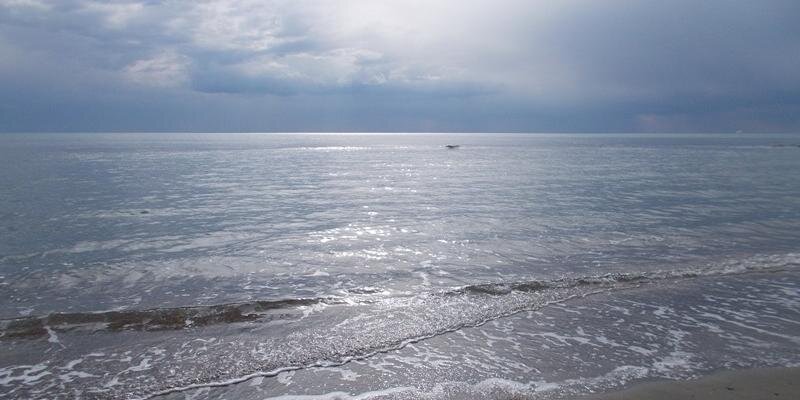 martaghezzi13's profile banner image