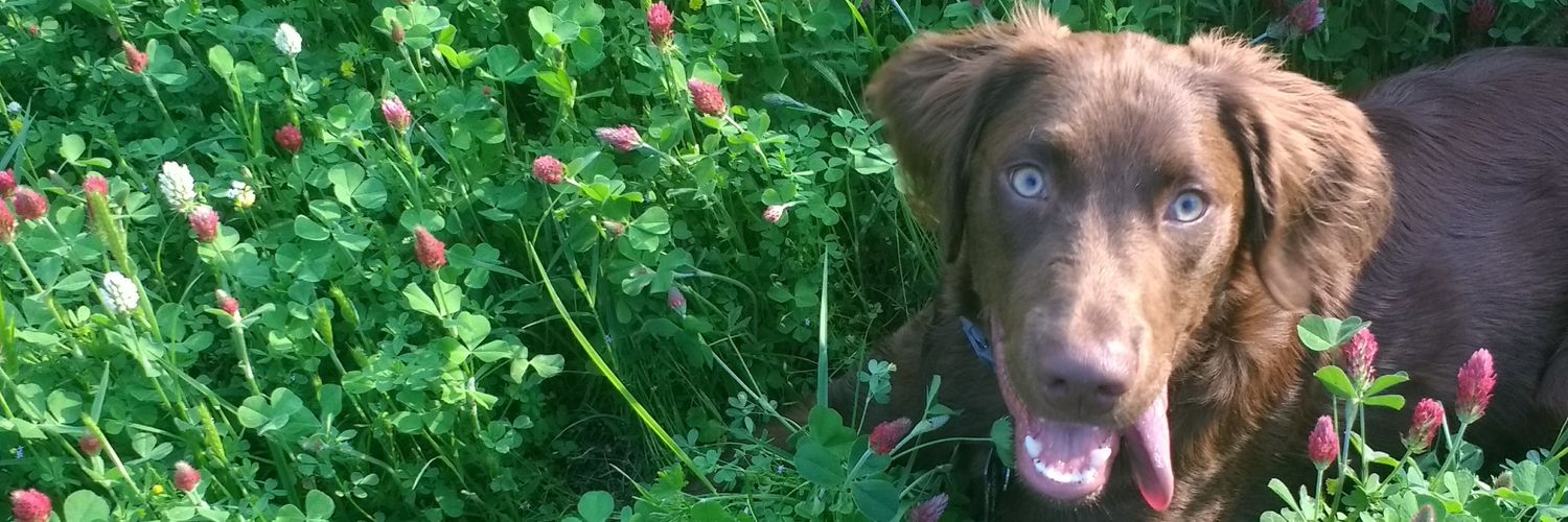 CraftyGypsyDiy's profile banner image