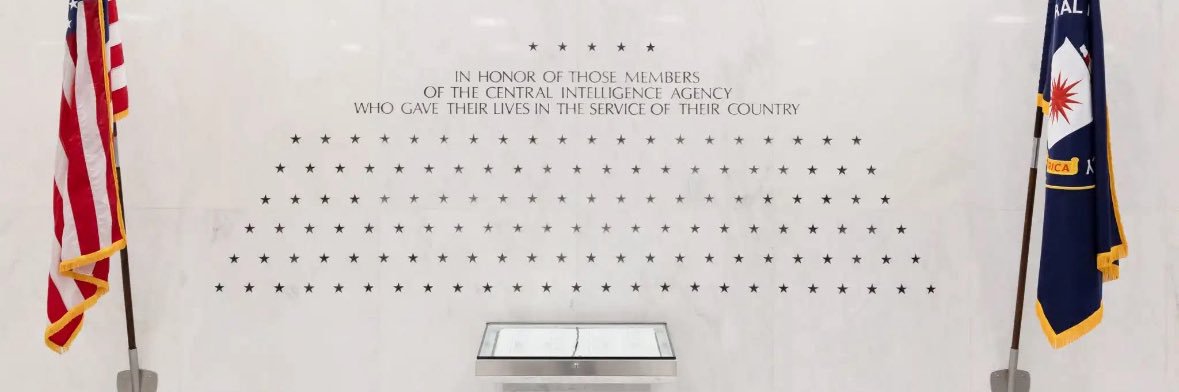 tigerstorm 🇺🇸 banner