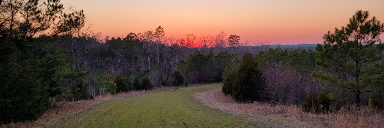 Pjwatson4's profile banner image