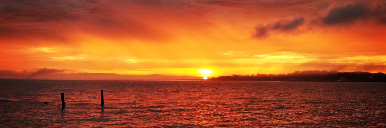 rachelvanmeter's profile banner image
