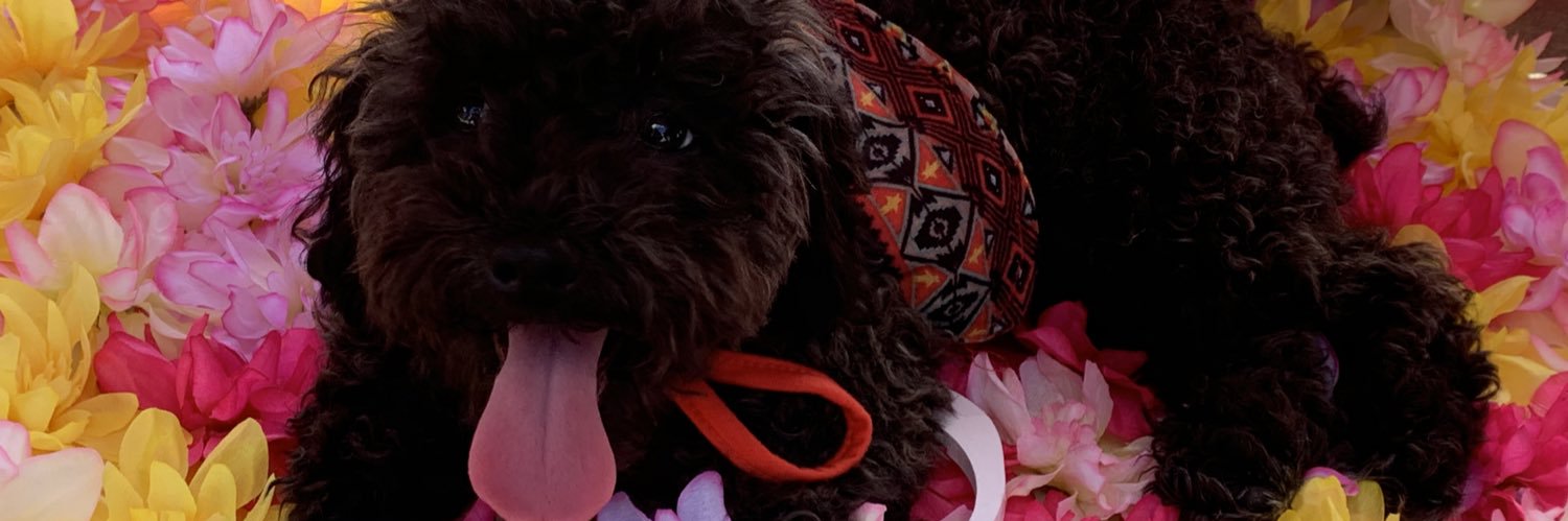 _cokessx's profile banner image
