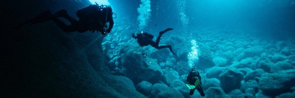 mplanelles Profile Banner