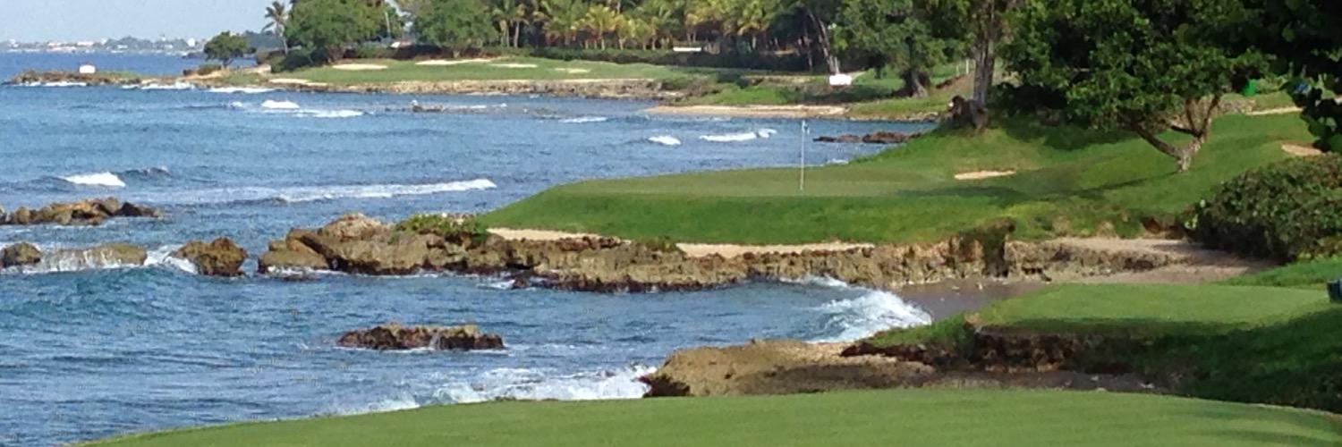 Alexandre Rocha banner