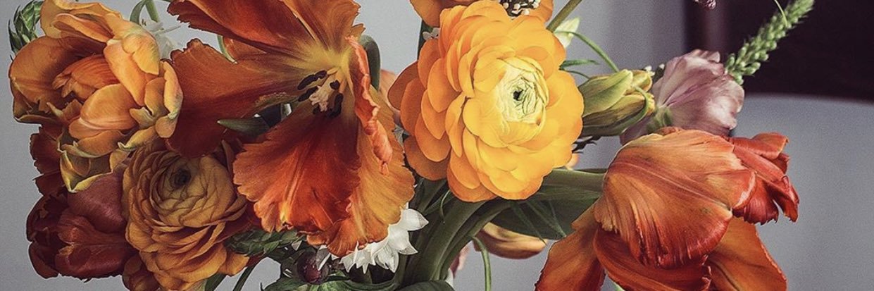 omoshepeteri's profile banner image