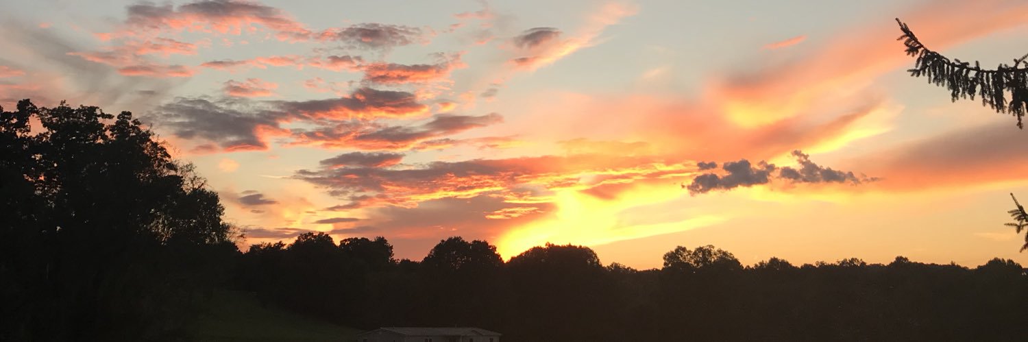teezgramma's profile banner image