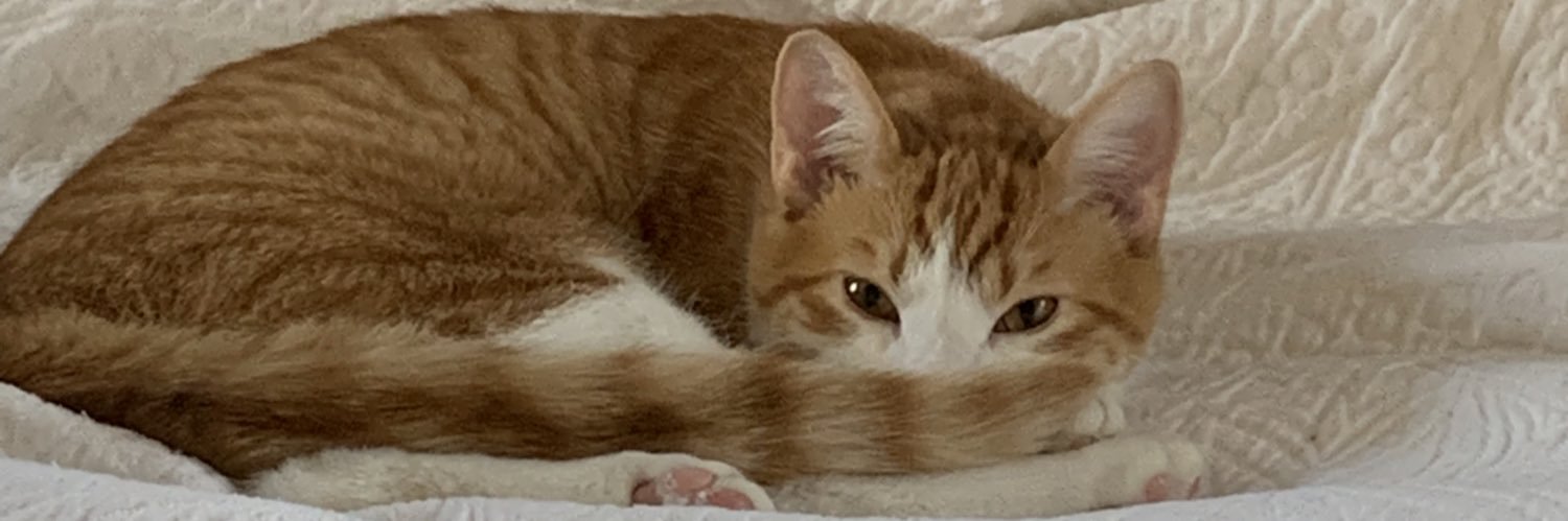 morganfoutzz's profile banner image