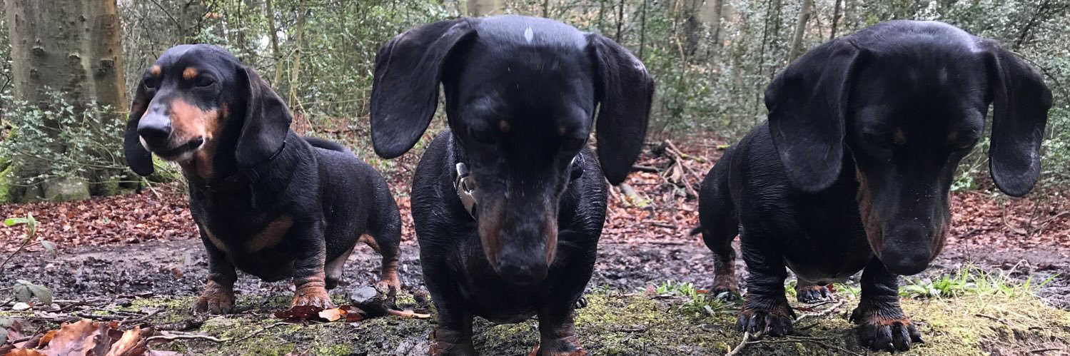 Ellie_scott202's profile banner image