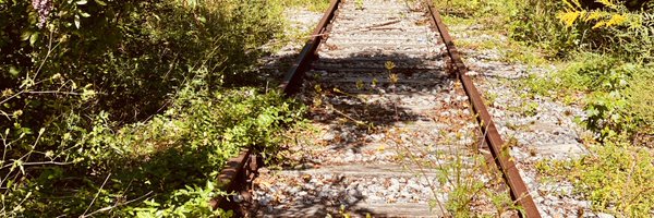 VonSwank Profile Banner